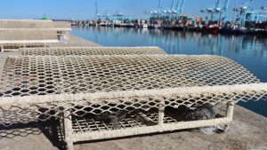 algeciras ocean ecostructures